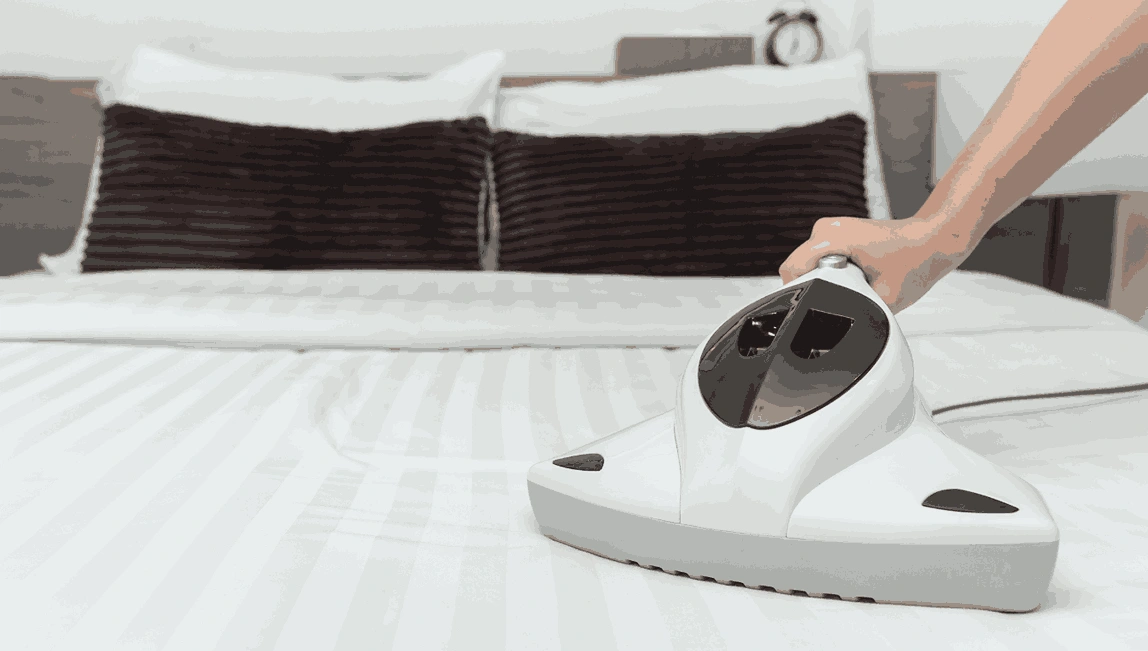 Professional Mattress Cleaning Leigh Creek